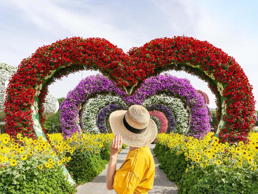 Dubai: Miracle Garden Entry Ticket with Hotel Transfer - Key points to know before you go