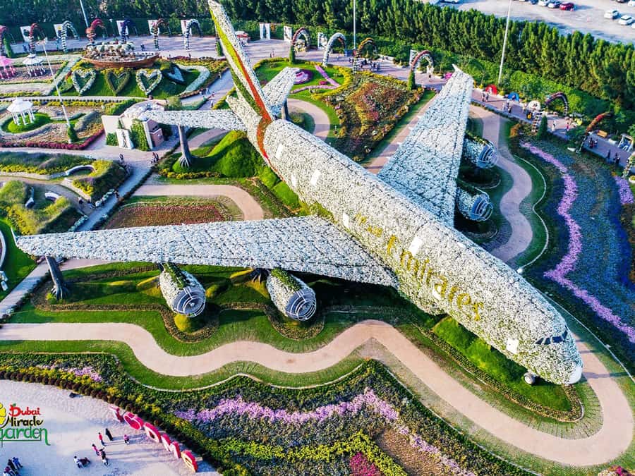 Dubai: Miracle Garden Entry Ticket with Hotel Transfer - Airbus A380 and floating lady, the floral sculptures that anchor the visit