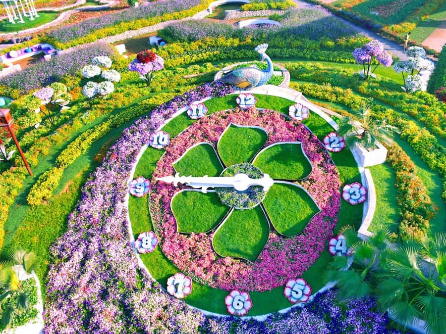 Dubai: Miracle Garden Entry Ticket with Hotel Transfer - Smurfs Village, umbrella tunnel, and the photo routes I’d follow