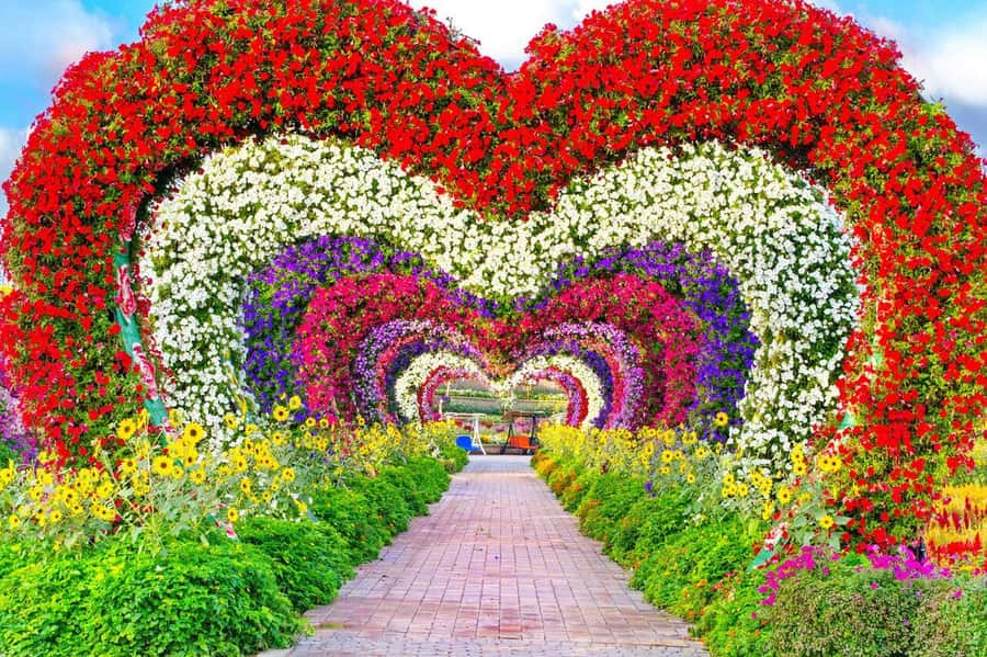 Dubai: Miracle Garden, Global Village, and Dubai Frame - Key highlights worth your attention
