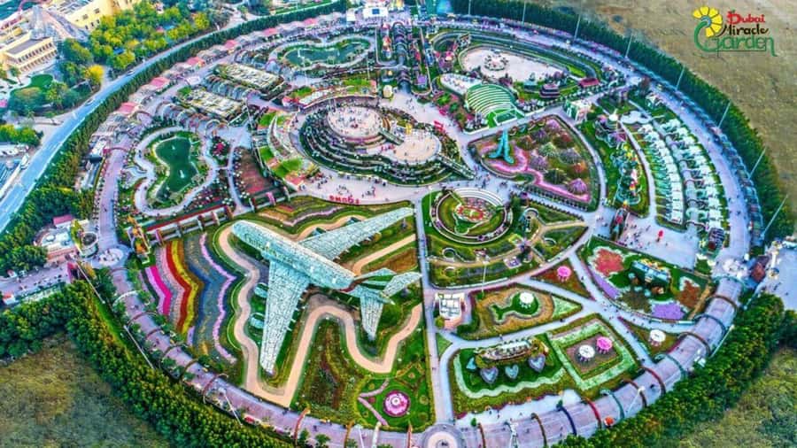Dubai: Miracle Garden, Global Village, and Dubai Frame - Miracle Garden in bloom: the flower maze that feels unreal in person