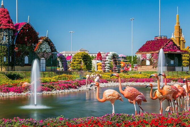 Dubai Miracle Garden Skip the Line E-Ticket and Transport Options - Photo Rules and the Best Way to Get Great Shots