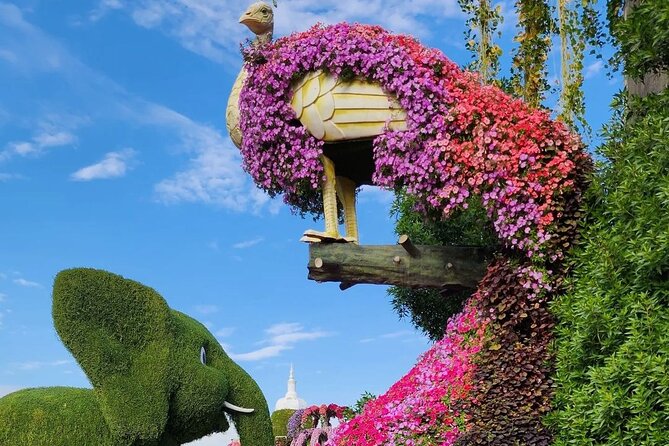 Dubai Miracle Garden Skip the Line E-Ticket and Transport Options - Small Annoyances to Plan For: Sales Stalls and Ticket Snags