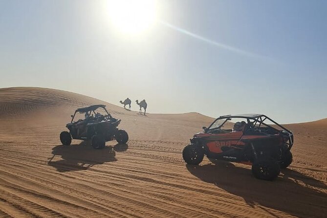 Dubai Morning Buggy Dunes Safari with Sandboarding & Camel Ride - Price Value: Is $137 Worth It for a Dubai Morning?