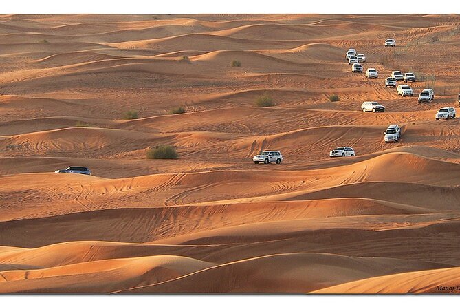 Dubai Morning Desert Safari: Camel Ride & Sandboarding! - Camel ride through the red dunes, a slower counterpoint