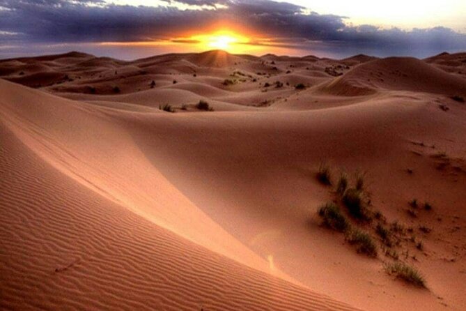 Dubai Morning Desert Safari: Camel Ride & Sandboarding! - Price and value: what $39 includes, and what costs extra
