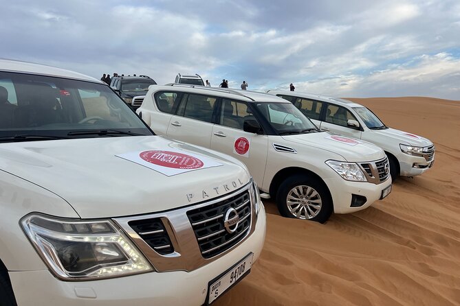 Dubai Morning Desert Safari Red Dune Camel Falcon & Sandboarding - Key highlights to look for