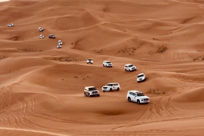 Dubai Morning Desert Safari Red Dune Camel Falcon & Sandboarding - Sandboarding: how it fits after the big ride