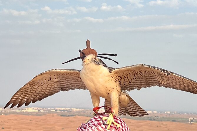 Dubai Morning Desert Safari Red Dune Camel Falcon & Sandboarding - Camel riding and falcon interaction: iconic moments, short and sweet