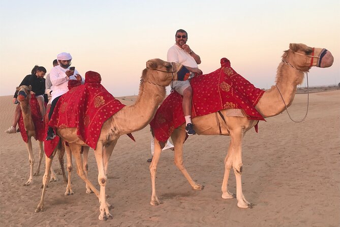 Dubai Morning Desert Safari Red Dune Camel Falcon & Sandboarding - Who should book this morning desert safari