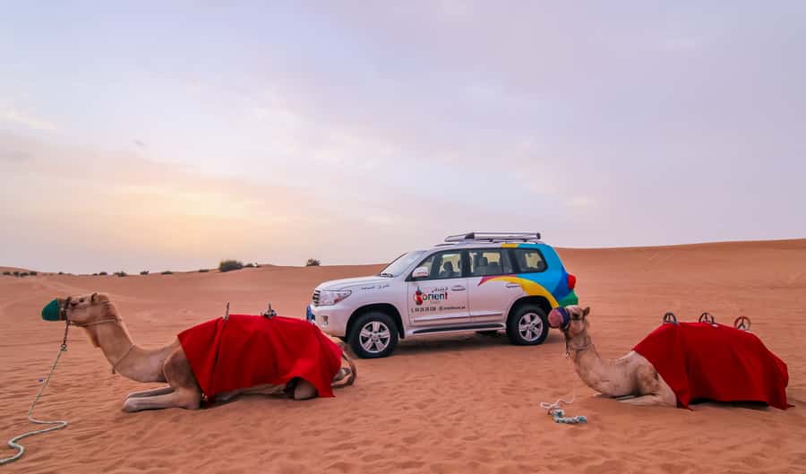 Dubai: Morning Desert Safari with Camel Ride & Sandboarding - Photo stops that turn the dunes into memories