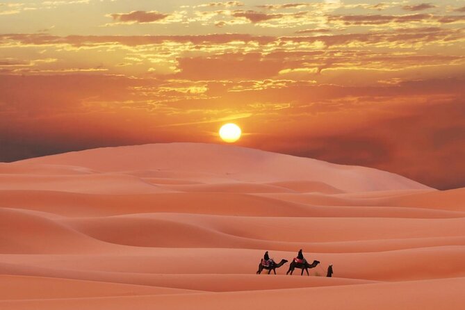 Dubai Morning Desert Safari With Dune Bashing - Private - 45 Minutes of 4WD Dune Bashing, Built for Photos and Nerves