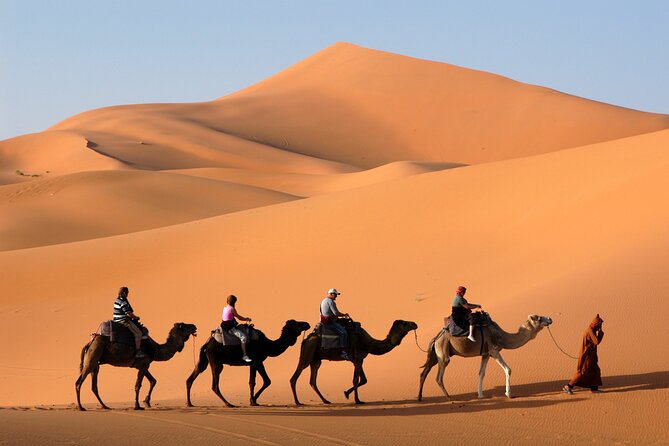 Dubai Morning Desert Safari with Quad Bike sharing Car - Key points to know before you go