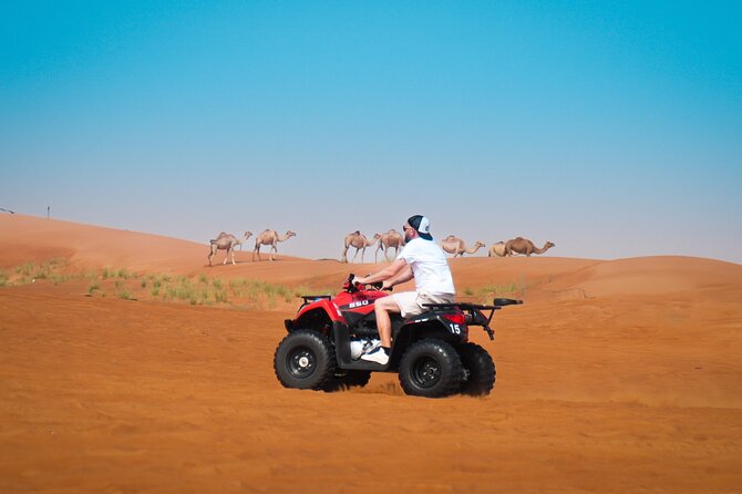 Dubai Morning Evening Desert Safari,Sand boarding and Camel ride - The ride out from Dubai, what your pickup really means