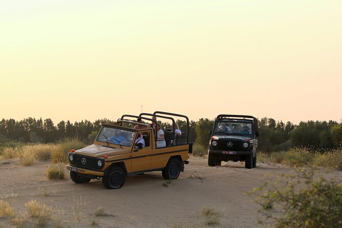 Dubai: Morning Heritage Safari by Vintage G Class & Al Marmoom Oasis - What Makes the Morning Plan Work (and Who It Fits)
