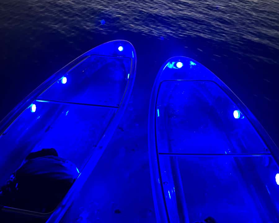 Dubai: Night Kayaking Tour - Should You Book This Night Kayaking Tour?