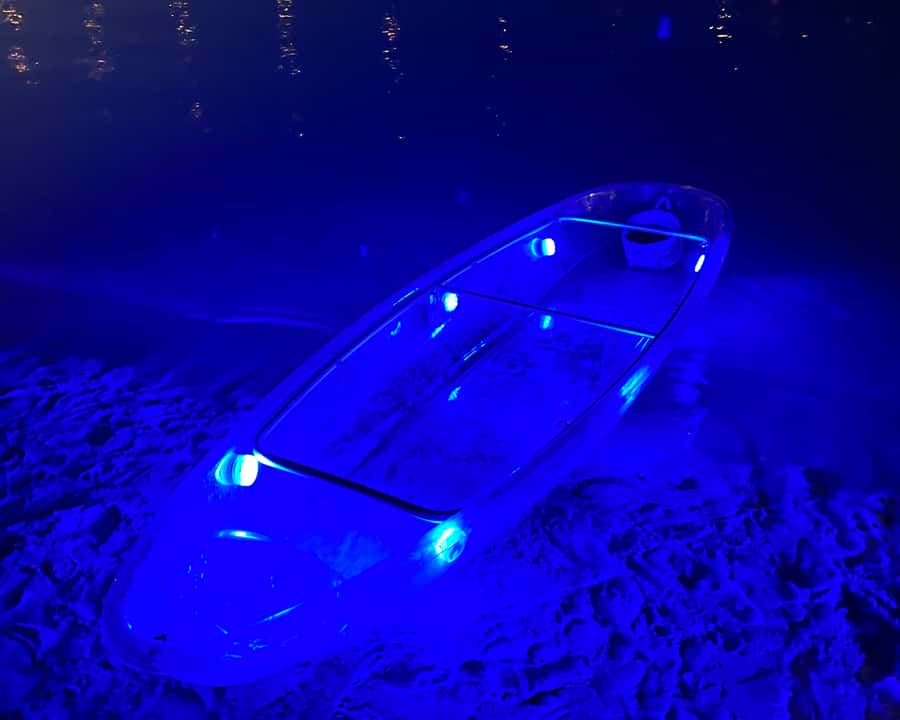 Dubai: Night Kayaking Tour - Price and Value for a One-Hour Skyline Kayak