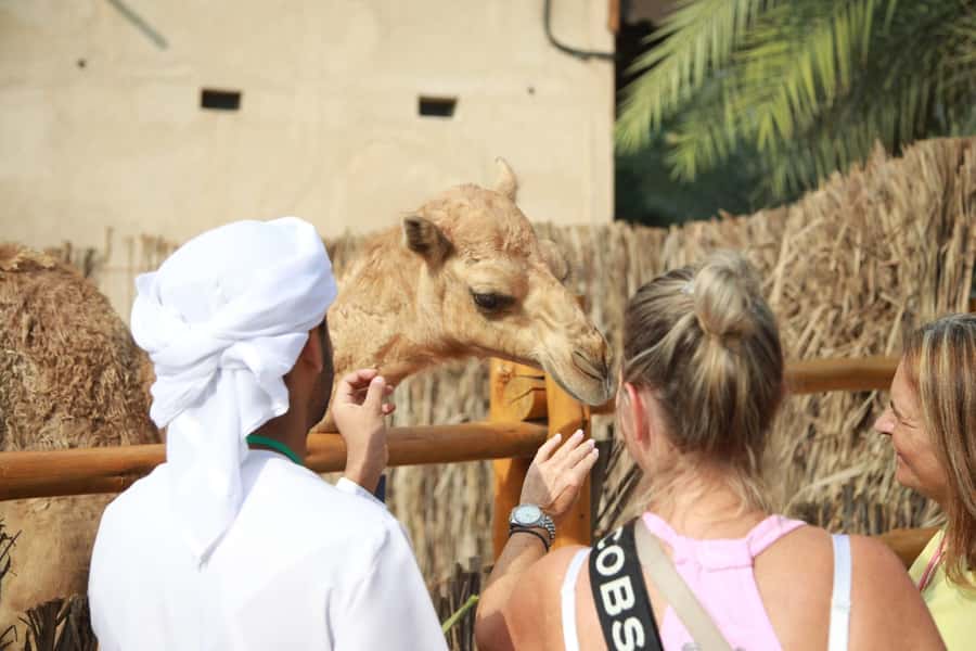Dubai: Old City Walking Tour with Abra Ride - Key Points You Will Care About