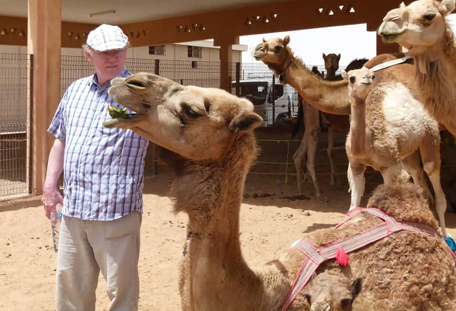 Dubai: Old City Walking Tour with Abra Ride - Meeting at Sharaf DG, Then Walking Into the Old City