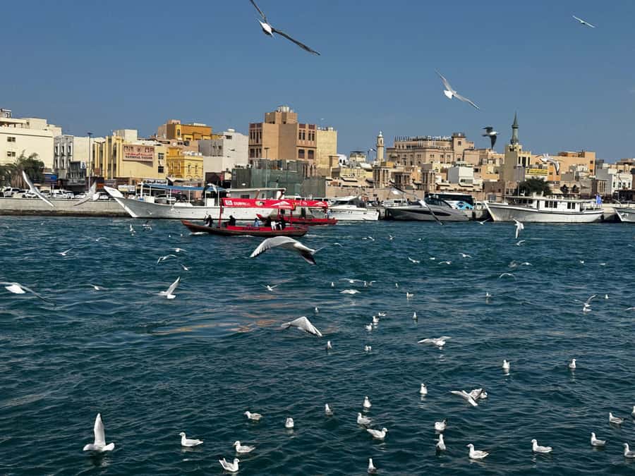 Dubai: Old Town Walking Tour with Abra Cruise & Street Food - 5 reasons this Old Town tour works so well