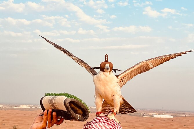 Dubai Premium Desert Safari Red Duns Camel sandbord & Premium BBQ - The Simple Flow of a 7-Hour Desert Day