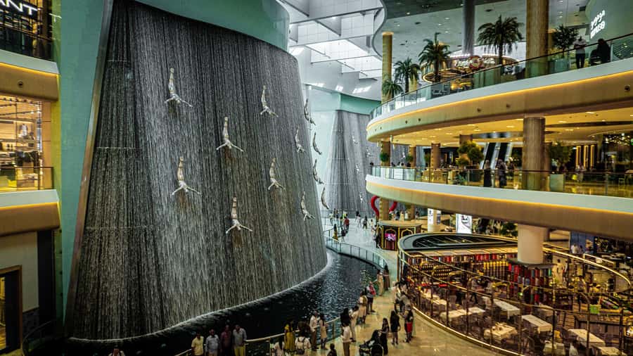 Dubai: Premium Half-Day Dubai Highlights Tour small group - Museum of the Future, what basic entry really gives you