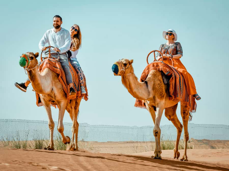 Dubai: Premium Red Dune Safari with Sandboarding & BBQ - Key things I’d circle before you book