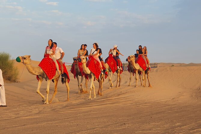 Dubai Premium Red Dunes Safari Camel Ride and BBQ Dinner - The guides can make or break the vibe (Rashid and Taj)