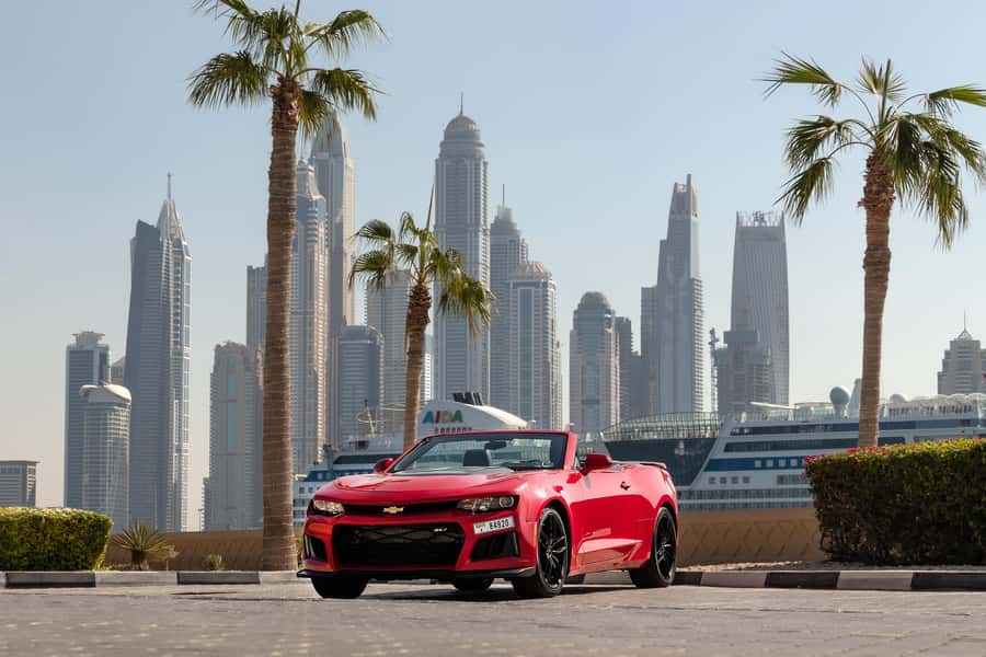 Dubai: Private City Sights Tour in a Cabriolet Convertible - Price and value: $274 per group up to 3