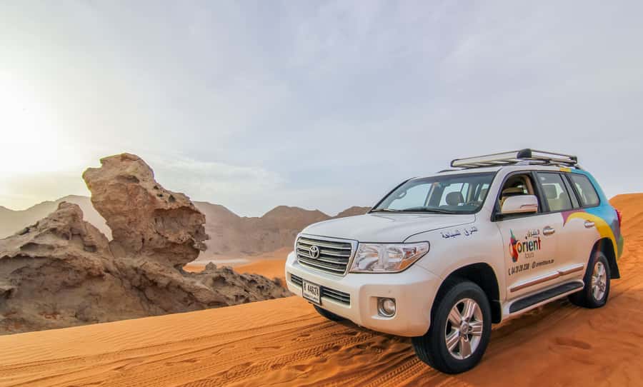 Dubai: Private Desert Day Tour and Wadi Shawka Pool Visit - Camel Rock and Fossil Rock: what to look for out there
