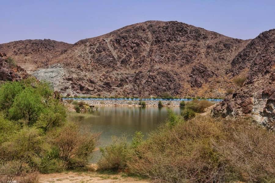 Dubai: Private Desert Day Tour and Wadi Shawka Pool Visit - Picnicking in a canyon-like wadi area