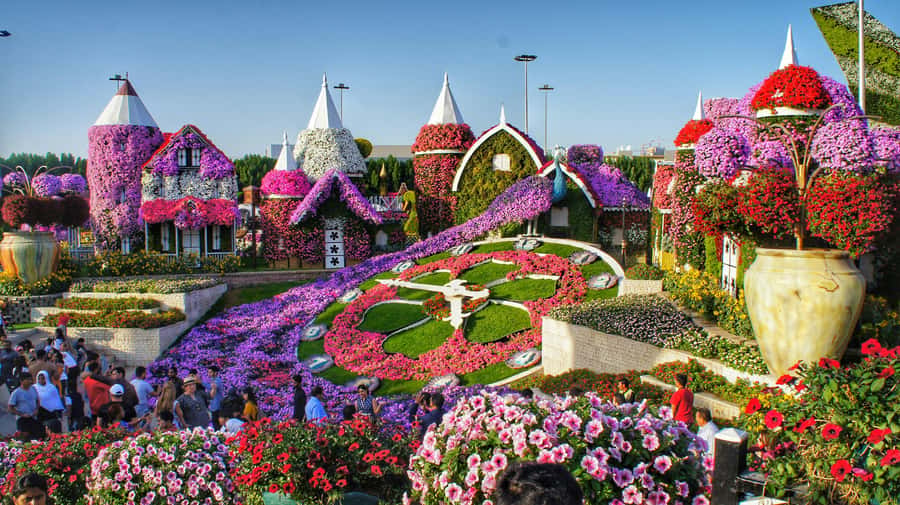 Dubai: Private Dubai Flora and Fauna Trip - Private pickup, air-conditioned van, and a simple 4-hour rhythm