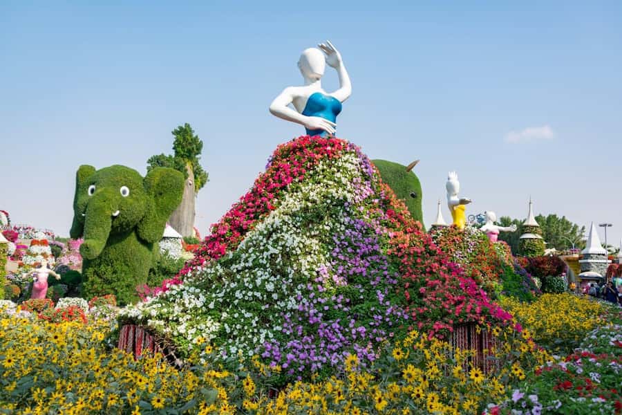Dubai: Private Dubai Flora and Fauna Trip - How the timing works, and how to avoid wasting your photo time