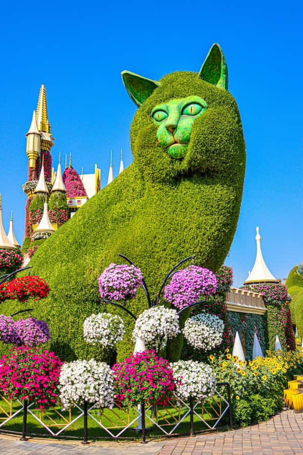 Dubai: Private Dubai Flora and Fauna Trip - FAQ
