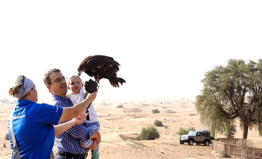Dubai: Private Falconry Safari - Key highlights worth planning for
