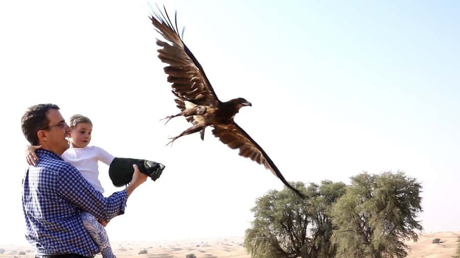 Dubai: Private Falconry Safari - Desert Conservation Reserve drive, and a falcon camp welcome