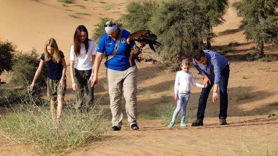Dubai: Private Falconry Safari - Peregrine falcon to drone, the modern twist you’ll remember