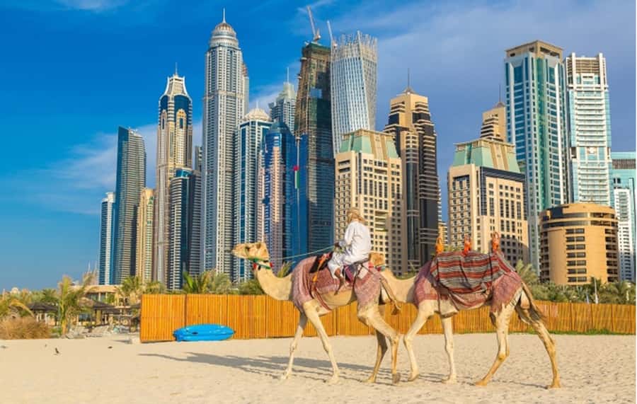 Dubai: Private Half-Day Sightseeing Tour - Who This Tour Is For (And Who Might Feel Crunched)