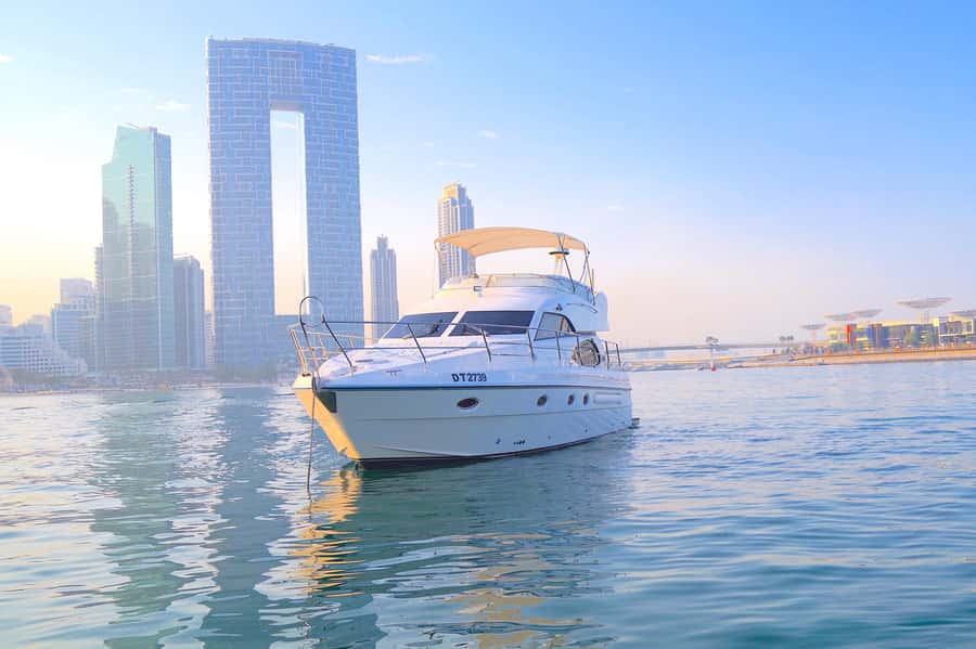 Dubai: Private Luxury Cruise on a Stylish 50ft Yacht - Who should book this yacht cruise, and who should skip it