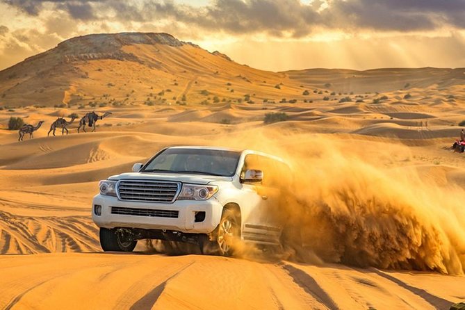 Dubai Private Morning Desert Safari: Camel Ride & Sandboarding - Why this private morning safari feels different in Lahbab