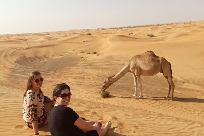 Dubai Private Morning Desert Safari: Camel Ride & Sandboarding - Camel ride: the slower contrast that makes the morning click