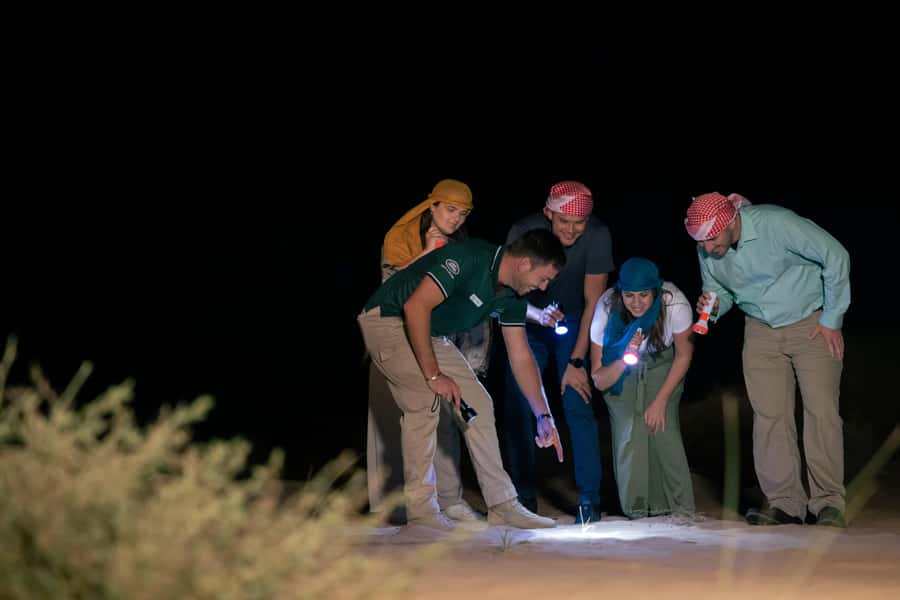 Dubai: Private Night Safari & Astronomy with 3-Course Dinner - Bedouin camp dinner: 3 courses, shisha, and blankets under stars