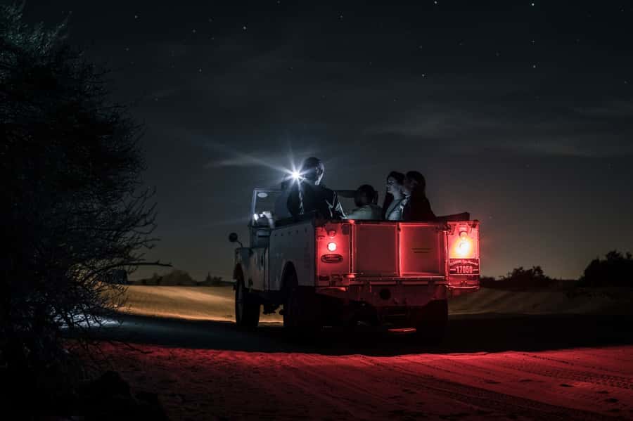 Dubai: Private Night Safari & Astronomy with 3-Course Dinner - Dubai Desert Conservation Reserve at Night: UV-walk, wildlife viewing, and patience