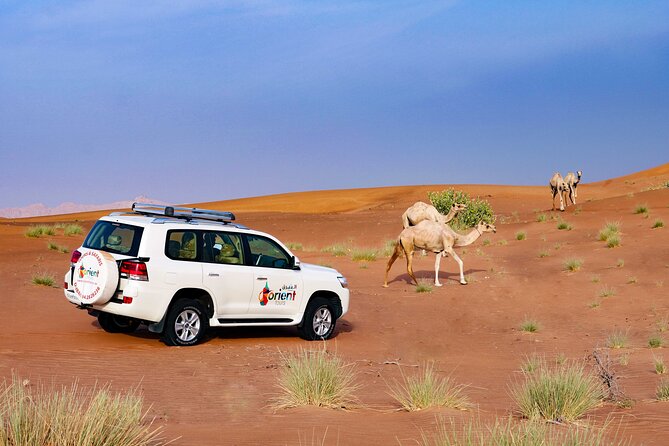 Dubai Private Premium Desert Safari with BBQ Dinner in 4WD - Price and value: where your money actually goes