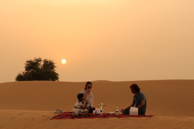 Dubai Private Sunset Desert Drive with Wildlife Experience - How the private Land Cruiser ride sets the tone for your dune day