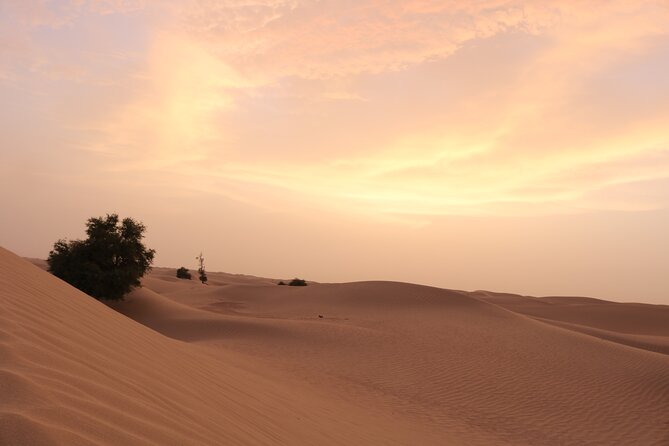 Dubai Private Sunset Desert Drive with Wildlife Experience - Food, coffee, and the small comfort wins that make the day easier