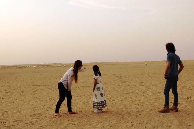 Dubai Private Sunset Desert Drive with Wildlife Experience - Timing, heat, and what to wear for Dubai’s desert temperatures