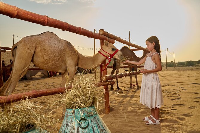 Dubai Private VIP Desert Dinner and Live Entertainment Show - What the most praised guides add to the evening
