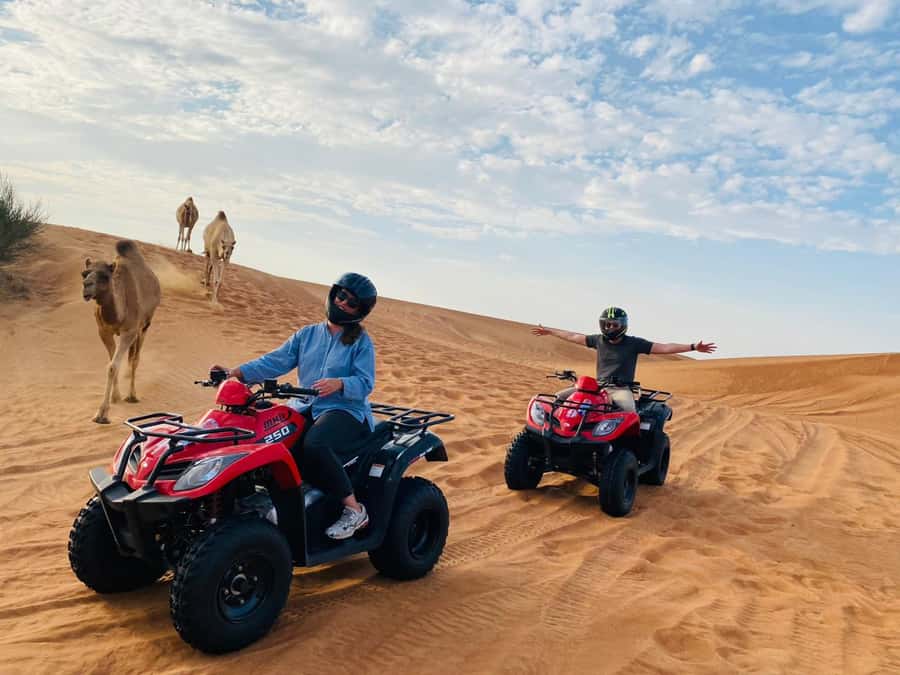Dubai: Quad Bike Safari, Camels & Al Khayma Camp BBQ Dinner - Sandboarding and camels: two easy wins after the adrenaline