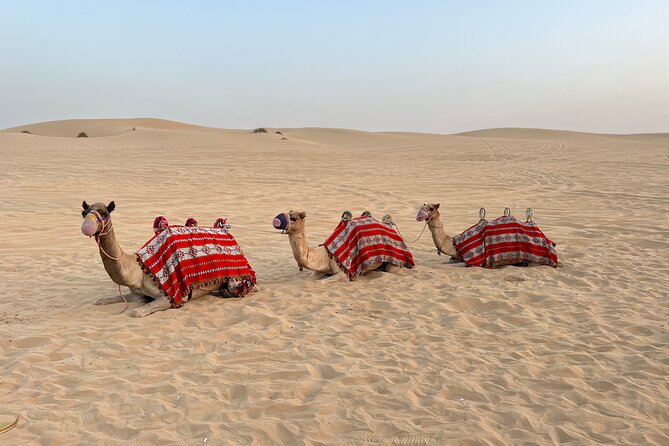 Dubai Red Desert Safari on Private 4x4, Sand Boarding, Camel 4hrs - The short camel ride: variety, not a long detour